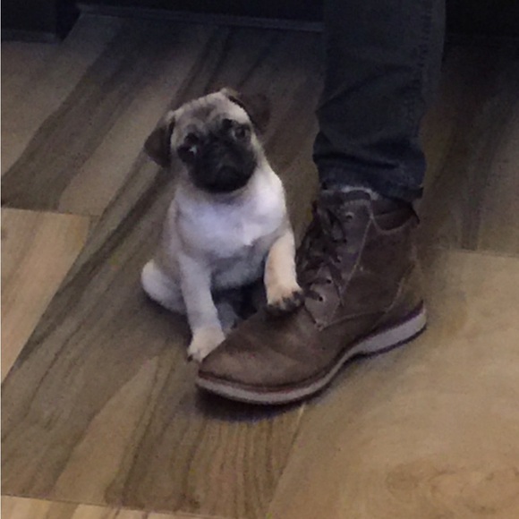 Meet your Posher, Linda (photo is my mom) - Picture 5 of 7